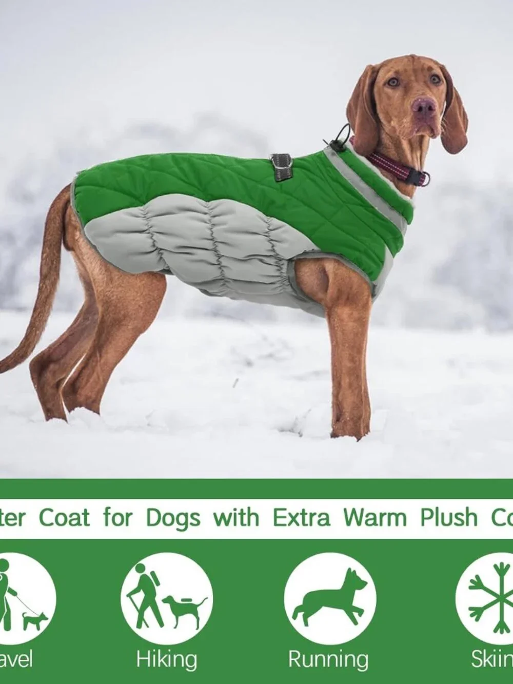 FUAMEY Dog Coat for Medium Dogs